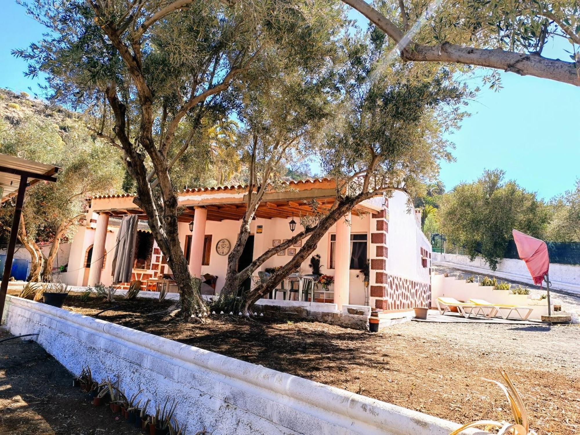Django Villa Santa Lucia De Tirajana Exterior photo